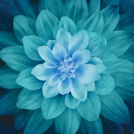 Teal Large Flower Digital Panel by Hoffman 43