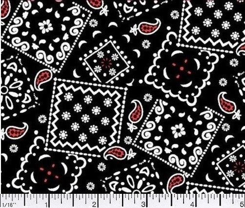 Cotton Fabric - Pattern Fabric - Blazin Bandanas Black with Red Paisley -  4my3boyz Fabric